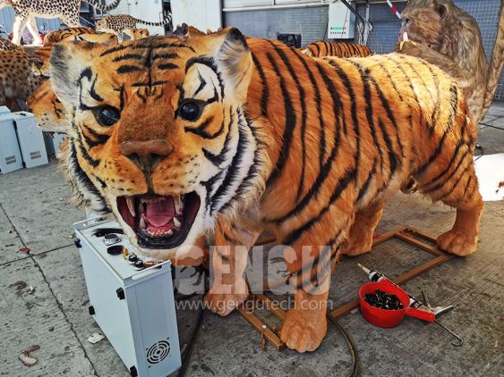 Tiger