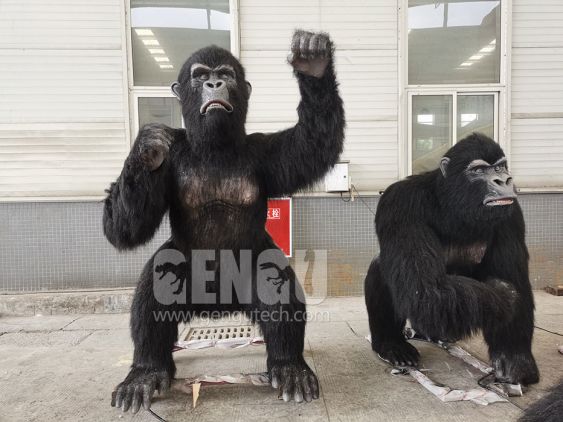 Chimpanzee