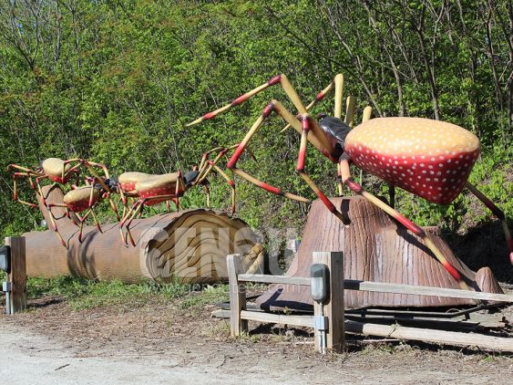 Spider