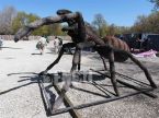 Tarantula