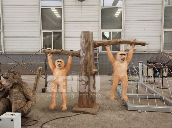 Monkey