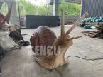Snail