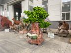 Talking Tree