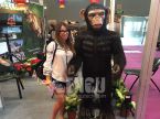 Chimpanzee