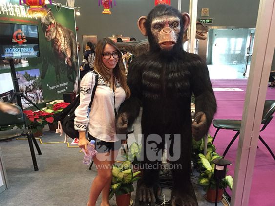 Chimpanzee