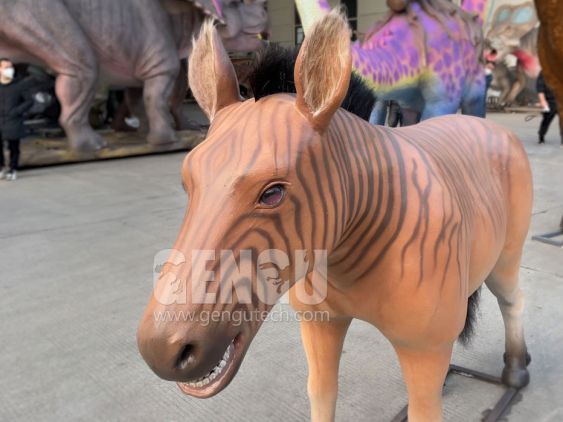 Zebra