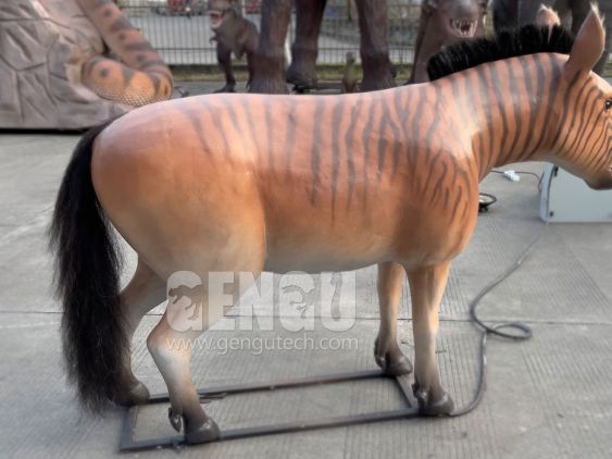 Zebra