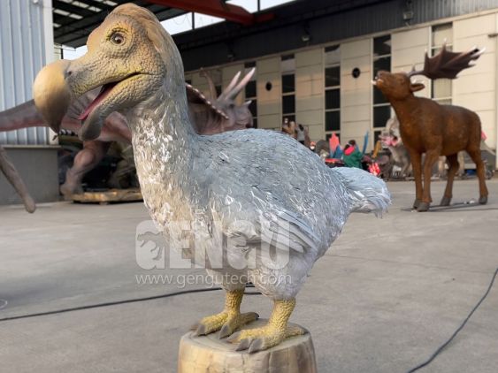 Dodo