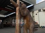 Sloth