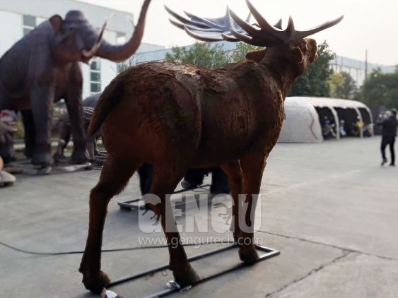 Megacerops