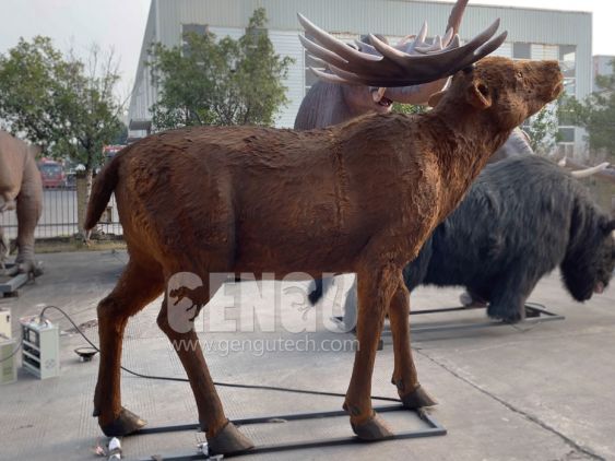 Megacerops