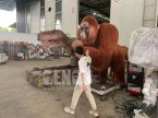 Pongo