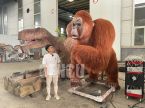 Pongo