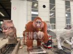 Pongo