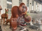 Pongo