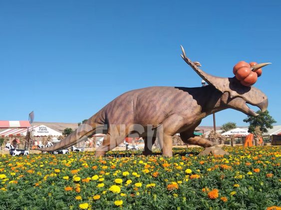 Halloween Albertaceratops