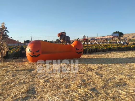Halloween Fiberglass Pumpkin