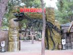 Dinosaur Door