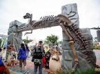 Dinosaur Door
