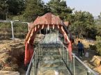 Dinosaur Door
