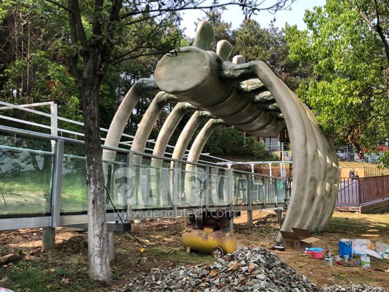 Dinosaur Fossil Door