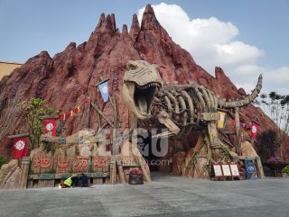 Dinosaur Fossil Door