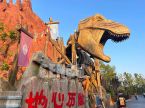 Dinosaur Fossil Door