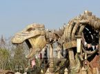 Dinosaur Fossil Door