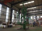 Customized Plant