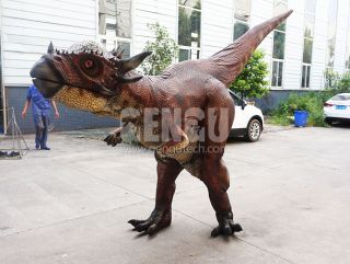 Pachycephalosaurus Costume