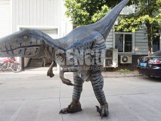 Dinosaur Costume