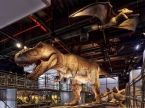 T-rex