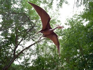 Pterosaur