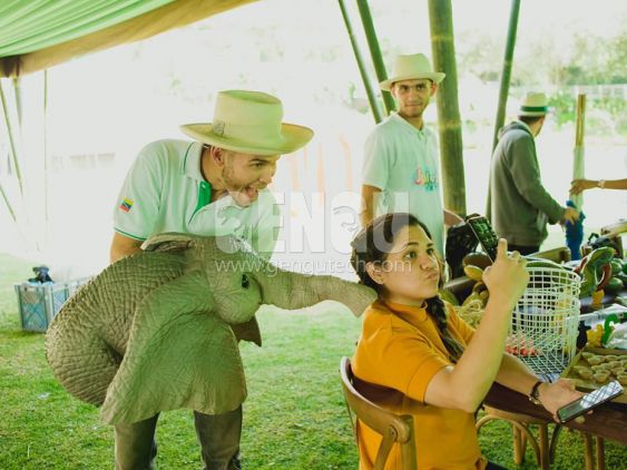 Elephant Puppet