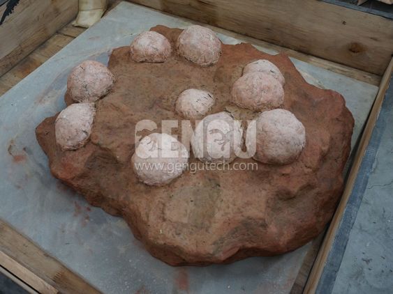 Dinosaur Egg Fossil