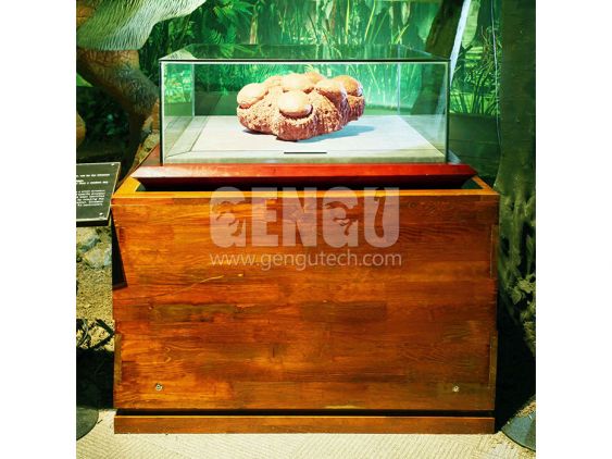 Dinosaur Egg Fossil
