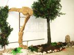 Dinosaur Fossil