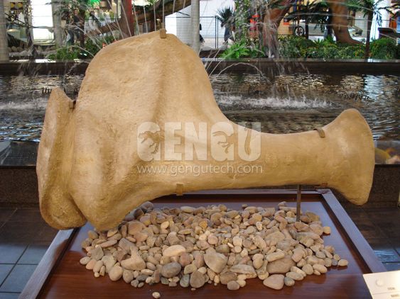 Dinosaur Skull