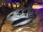 Dinosaur Skull