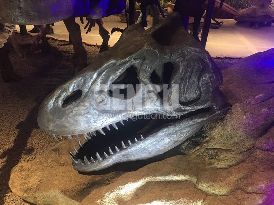 Dinosaur Skull