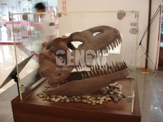 Dinosaur Skull