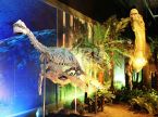 Pliosaurus Fossil