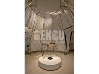 Ornitholestes Skeleton