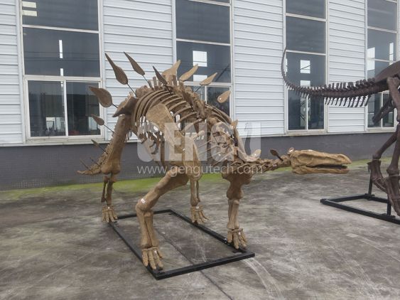 Stegosaurus Fossil