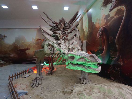 Stegosaurus Fossil
