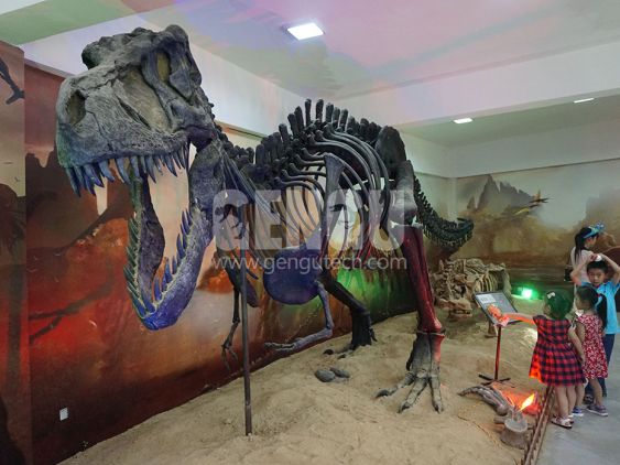 T-Rex Skeleton
