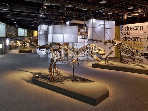 T-Rex Skeleton