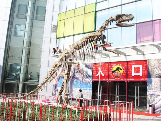 Yangchuanosaurus Fossi