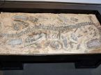 Dino Buried Statue