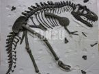 Dino Buried Statue